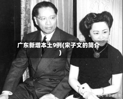 广东新增本土9例(宋子文的简介)