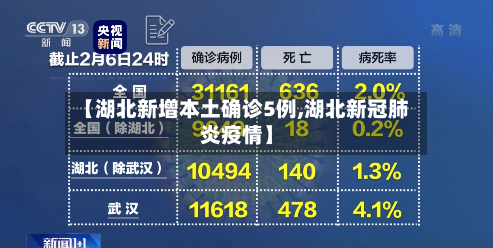 【湖北新增本土确诊5例,湖北新冠肺炎疫情】