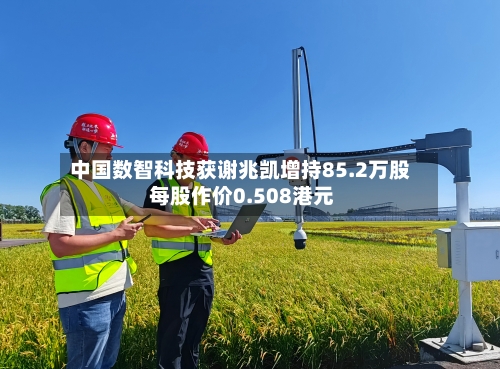 中国数智科技获谢兆凯增持85.2万股 每股作价0.508港元-第2张图片