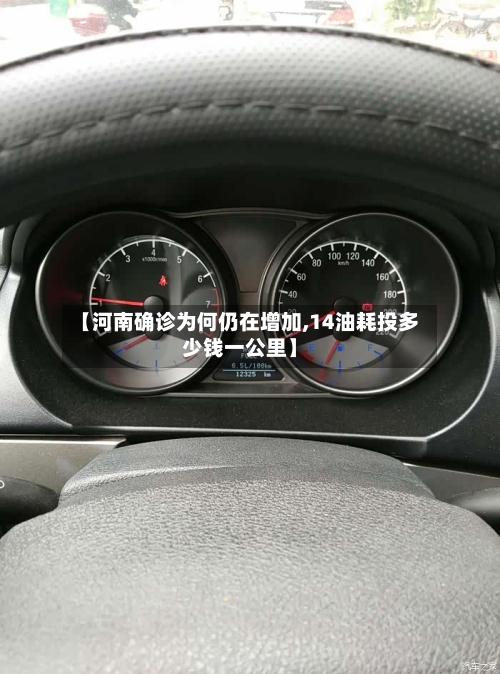【河南确诊为何仍在增加,14油耗投多少钱一公里】-第2张图片