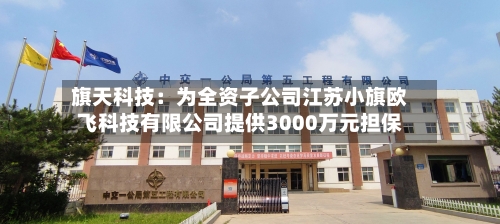 旗天科技:为全资子公司江苏小旗欧飞科技有限公司提供3000万元担保-第2张图片