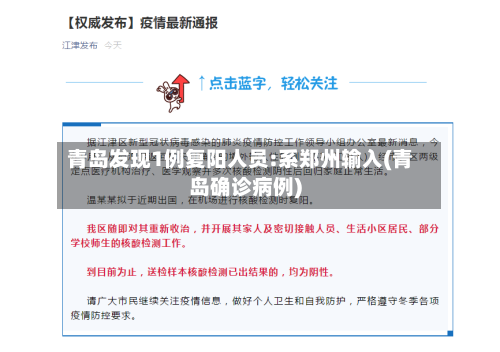 青岛发现1例复阳人员:系郑州输入(青岛确诊病例)-第2张图片