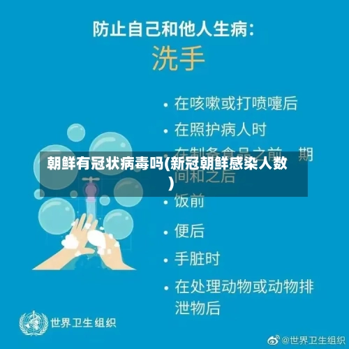 朝鲜有冠状病毒吗(新冠朝鲜感染人数)-第2张图片