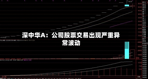深中华A：公司股票交易出现严重异常波动