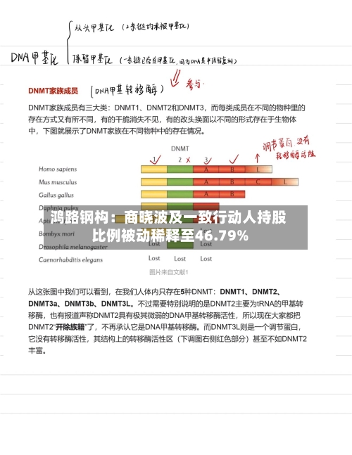 鸿路钢构:商晓波及一致行动人持股比例被动稀释至46.79%-第2张图片