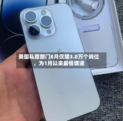 美国私营部门8月仅增3.8万个岗位，为1月以来最慢增速-第2张图片