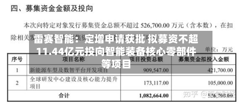 雷赛智能:定增申请获批 拟募资不超11.44亿元投向智能装备核心零部件等项目-第3张图片