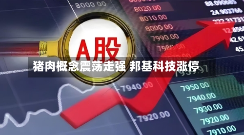 猪肉概念震荡走强 邦基科技涨停