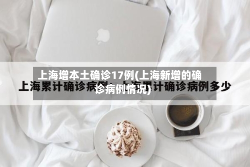 上海增本土确诊17例(上海新增的确诊病例情况)-第2张图片