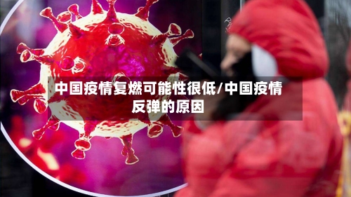 中国疫情复燃可能性很低/中国疫情反弹的原因